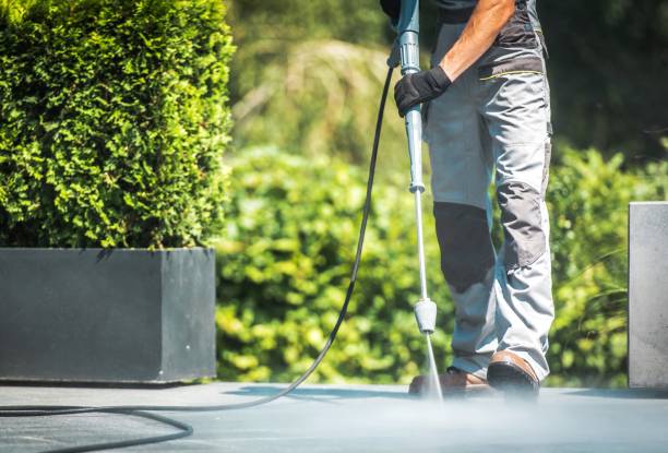 Best Driveway Pressure Washing  in USA